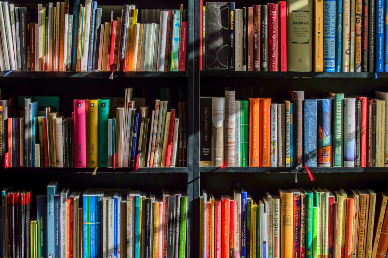 ecommerce-LE BEAUSSET-min_books_bookstore_book_reading_shop_writer_sale_books_read-822866